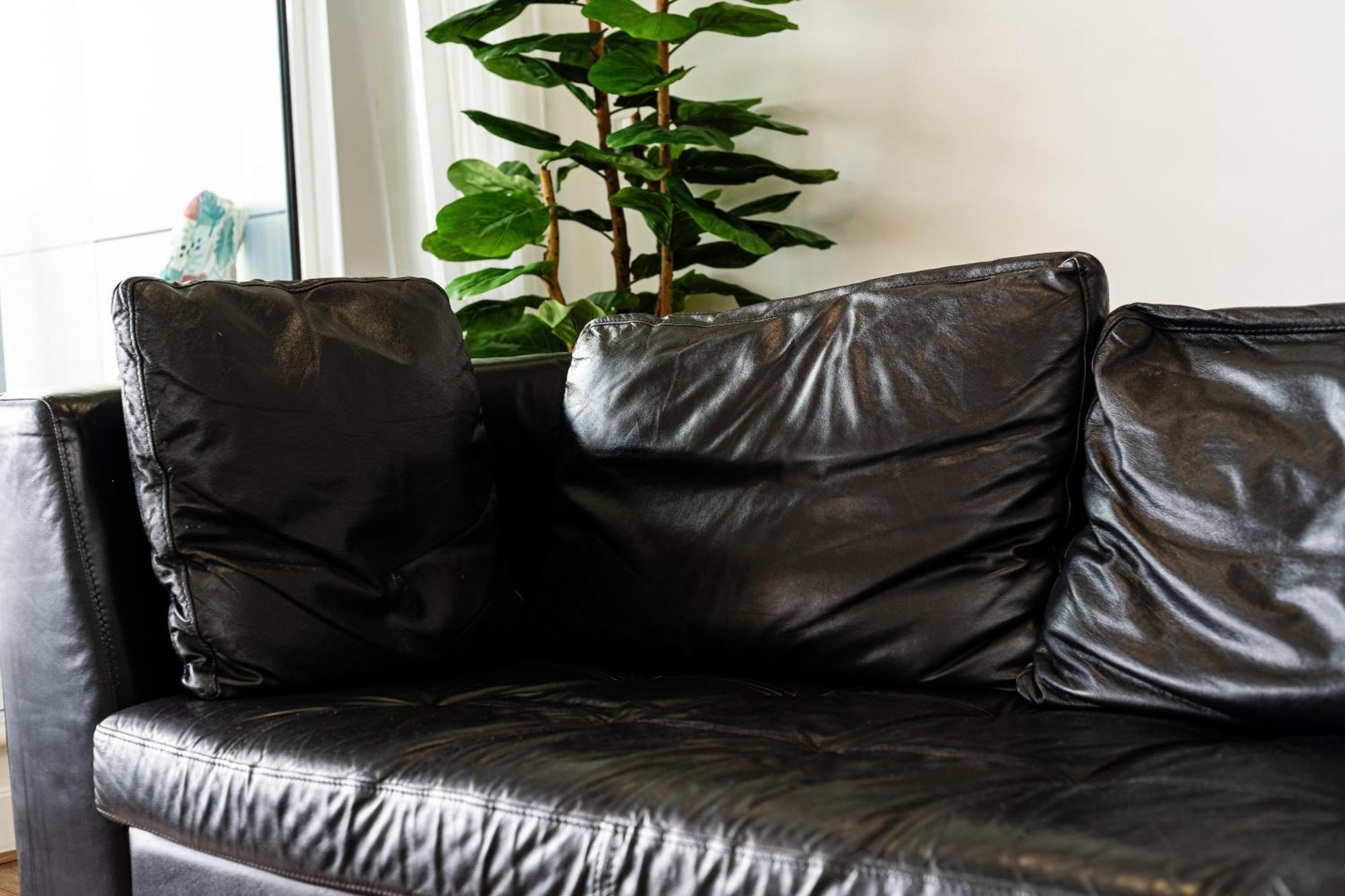 Excel London Majestic Apartment 外观 照片